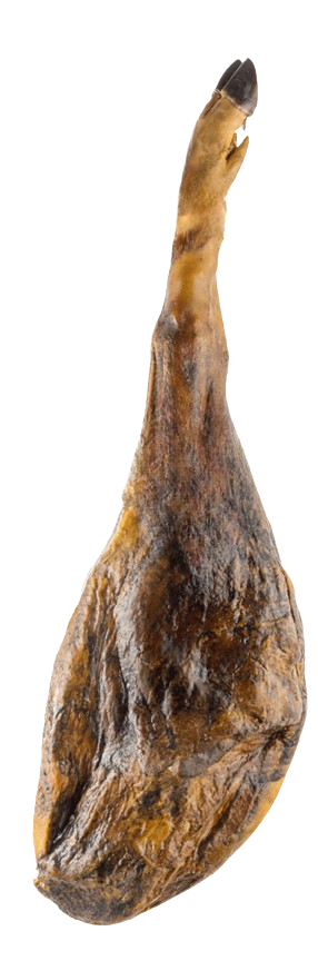 Jamón